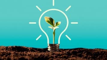 Crise énergétique : Bordeaux veut augmenter fortement son autonomie