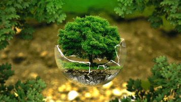 Face à la forêt asséchée, des maires se forment aux solutions