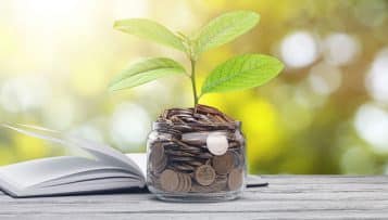 Protection de la biodiversité : la dotation de soutien aux communes est étendue