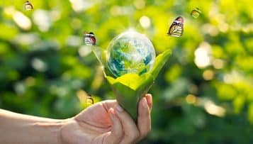 La communauté de communes de la Vallée de Bruche élue «Capitale française de la Biodiversité 2022»