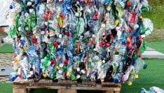 Une consigne pour les bouteilles plastiques en France ? Le Gouvernement doit décider avant juin