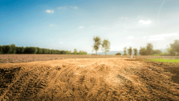 Zéro artificialisation des sols : l'AMF et le Sénat souhaitent faire évoluer le cadre juridique