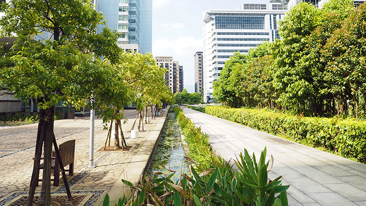 Les arbres pourraient réduire d'un tiers la mortalité liée aux canicules urbaines, selon une étude