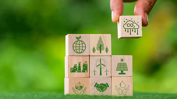 Transition écologique : des hauts fonctionnaires s'inquiètent d'une formation qui "passe à côté de l'essentiel"