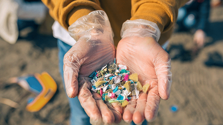 Trop peu de communes du littoral mènent la chasse aux déchets plastiques sur leurs plages