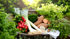 Loi Egalim et restauration collective : quel bilan pour les produits durables et de qualité ?