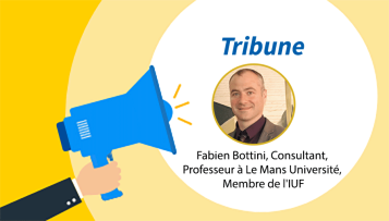 Fabien Bottini, Consultant, Professeur à Le Mans Université, Membre de l'IUF