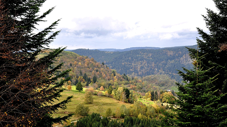 Deux villages lorrains en quête de leurs "forêts perdues" il y a 150 ans
