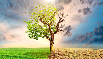 Pour un service public de l’adaptation au changement climatique