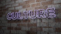 Spectacle vivant en milieu rural : une offre encore faible et des bonnes pratiques à développer