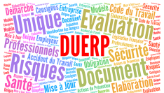 Le CSFPT souhaite que le DUERP concourt à une politique de santé plus affirmée