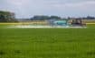 Glyphosate : des effets sur la santé controversés