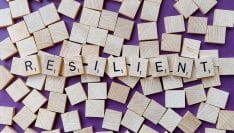 Un site pour sensibiliser les élus à la stratégie nationale de résilience