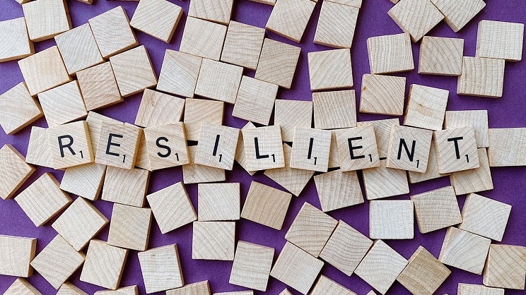 Un site pour sensibiliser les élus à la stratégie nationale de résilience