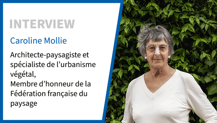 Caroline Mollie, architecte-paysagiste : “Il faut accepter les contraintes de l'arbre”