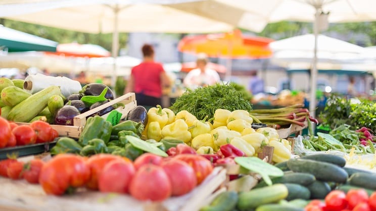 Alimentation : la stratégie gouvernementale en consultation, critiques des ONG
