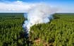 Prévention des incendies : stratégie nationale pour lutter contre les feux de forêt