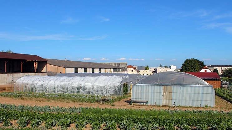 Comment sont déterminées les zones France ruralités revitalisation « plus » ?