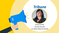 L'arlésienne du statut des DGS