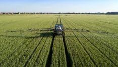 Santé et biodiversité : l'État devra revoir des autorisations de pesticides