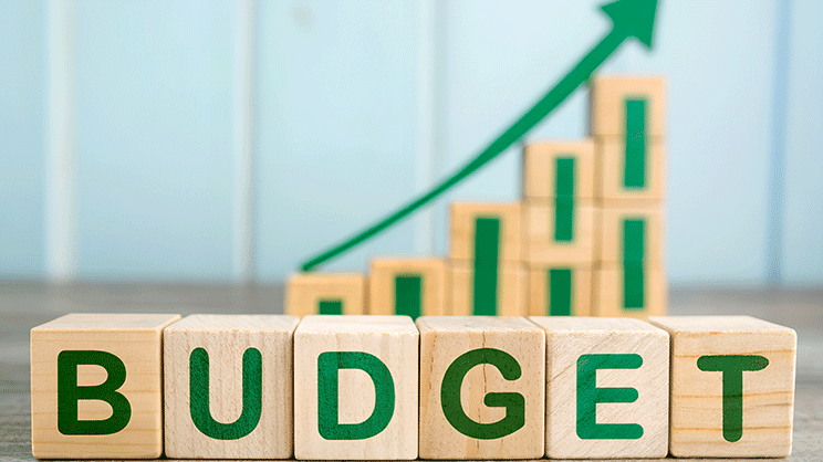 Transition écologique : premier bilan d'analyse des annexes vertes des budgets locaux