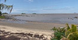 En Guyane, les acteurs publics s'organisent face à l'érosion et la montée des eaux