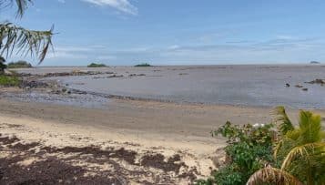 En Guyane, les acteurs publics s'organisent face à l'érosion et la montée des eaux