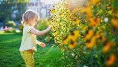 Enfance : le gouvernement publie un guide pratique de l'élu local