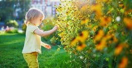 Enfance : le gouvernement publie un guide pratique de l'élu local