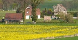 Vivre à la campagne, puissant « amplificateur d'inégalités » pour les femmes