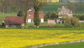 Vivre à la campagne, puissant « amplificateur d'inégalités » pour les femmes