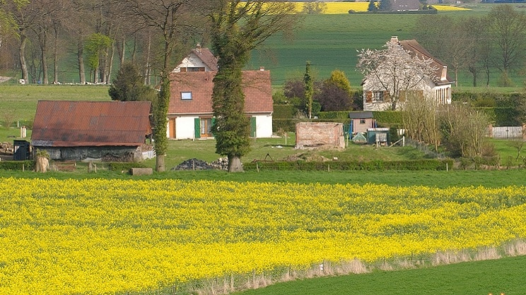 Vivre à la campagne, puissant « amplificateur d'inégalités » pour les femmes