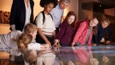 Un label pour valoriser les musées situés en ruralité