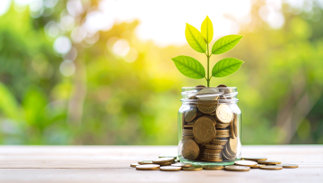 Fiscalité locale environnementale : des exonérations boudées par les élus