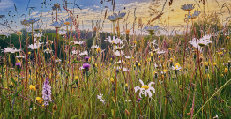 L'obligation réelle environnementale, levier juridique puissant pour protéger les domaines des collectivités
