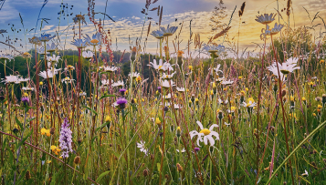 L'ORE, levier juridique puissant pour protéger les domaines des collectivités