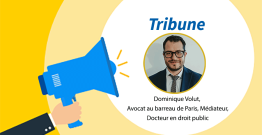 SPL et mandat électif : de l'actionnariat à l'exercice des compétences