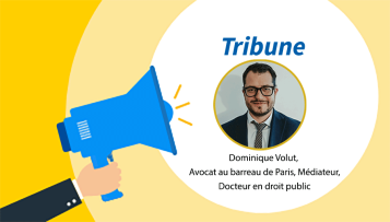 SPL et mandat électif : de l'actionnariat à l'exercice des compétences