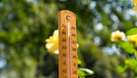 Canicule et fortes chaleurs : les obligations pour protéger les agents publics ?