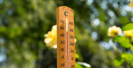 Canicule et fortes chaleurs : les obligations pour protéger les agents publics ?