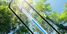 Les canicules sont-elles plus dangereuses quand elles durent ?