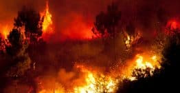 Incendies : les départements de France appellent à revoir le financement des services de secours