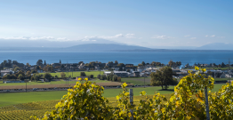 La Cour des comptes recommande de simplifier le financement de l'aménagement du territoire