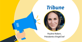 Ingénieurs en chef territoriaux et DGST laissés à l'écart de la réforme de la haute fonction publique