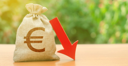 Rémunérations des agents territoriaux : le CSFPT appelle à une refonte du modèle salarial de la FPT
