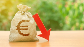 Rémunérations des agents territoriaux : le CSFPT appelle à une refonte du modèle salarial de la FPT