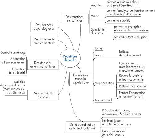 Les composantes de l&rsquo;&eacute;quilibre