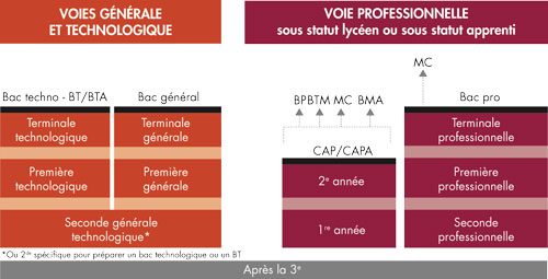 Les voies d&rsquo;orientation apr&egrave;s la 3e